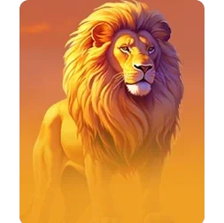 Lion
Safari